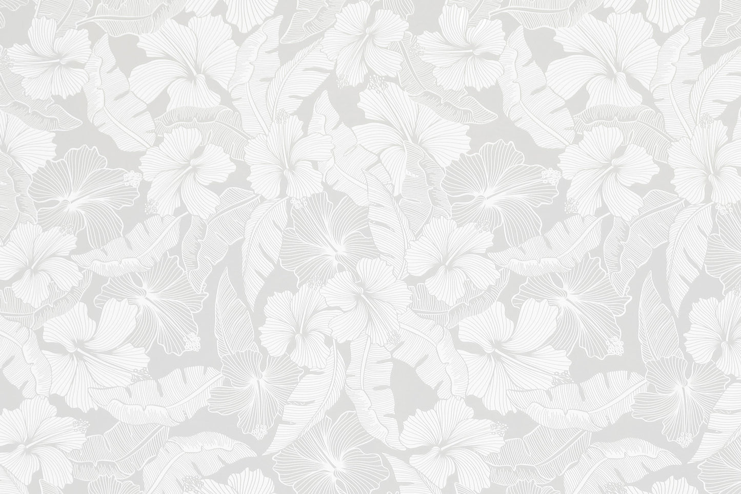PAB1041 White/White