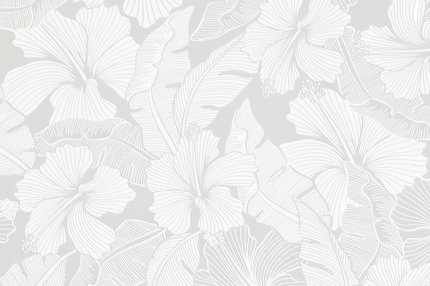 PAB1041 White/White