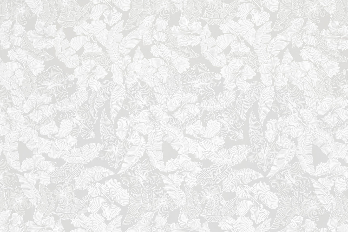 PAB1041 White/White