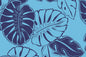 PAB1042 Blue