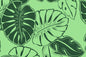 PAB1042 Green