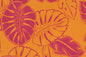 PAB1042 Orange
