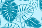 PAB1042 Teal