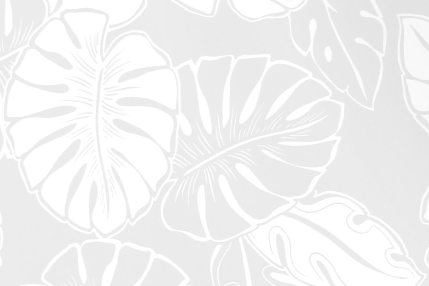 PAB1042 White/White