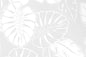 PAB1042 White/White