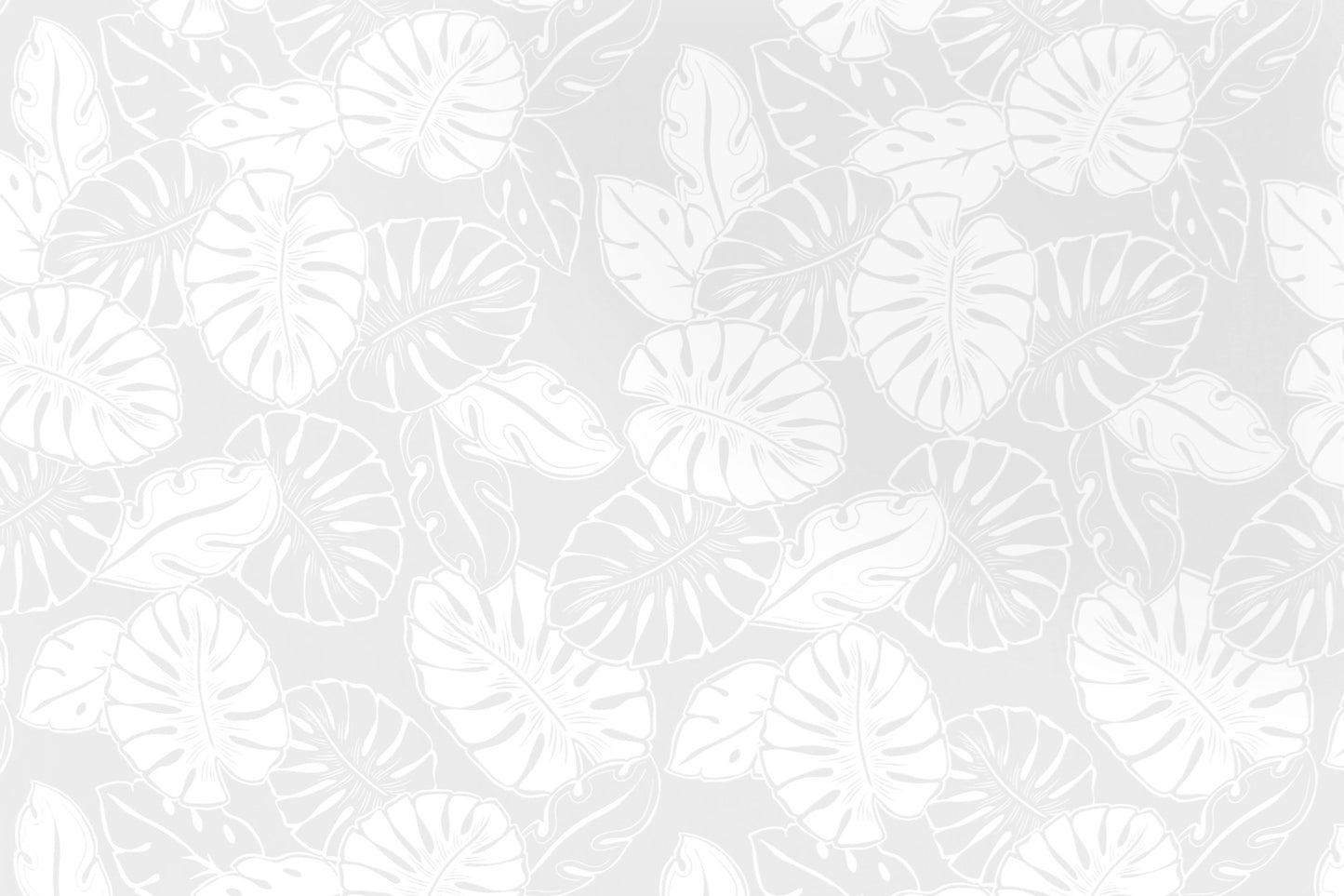 PAB1042 White/White