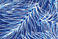 PAB1043 Navy