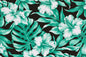 PAB1048 Black/Teal