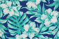 PAB1048 Royal/Mint