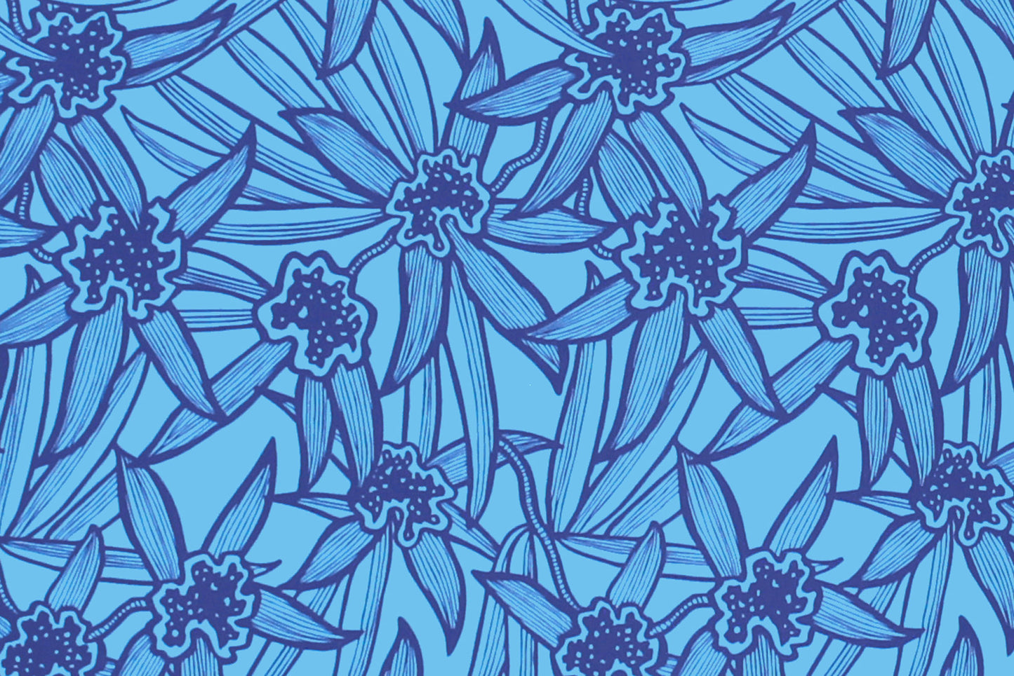 PAB1051 Blue