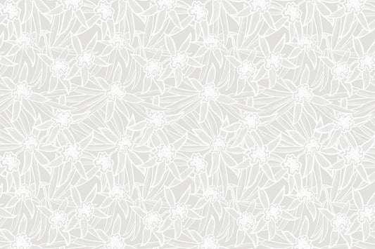 PAB1051 White/White