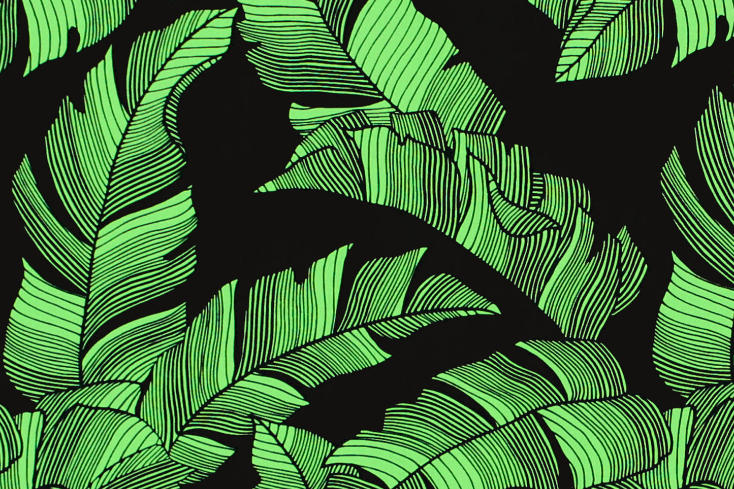 PAB1052 Black/Green
