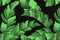 PAB1052 Black/Green