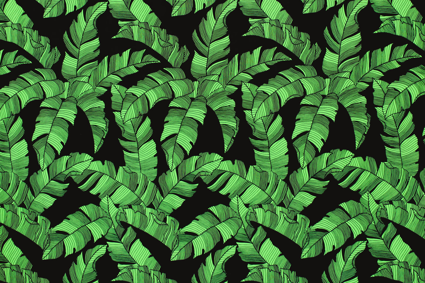 PAB1052 Black/Green