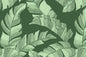 PAB1052 Green