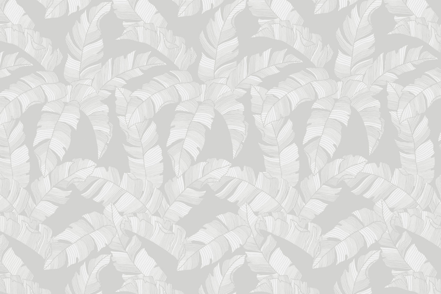 PAB1052 White/White