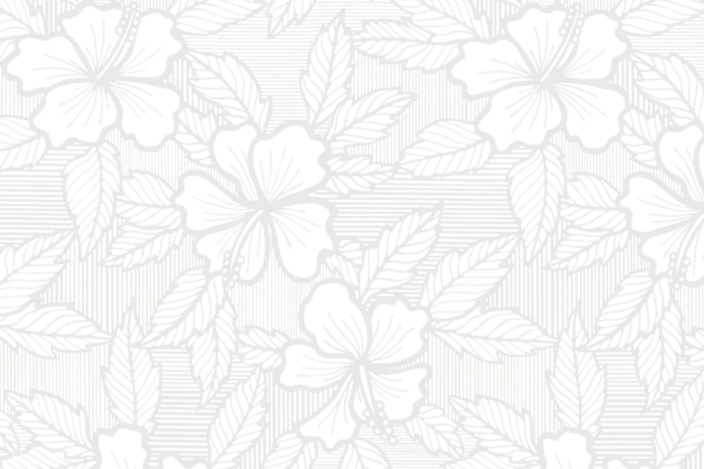PAB1053 White/White