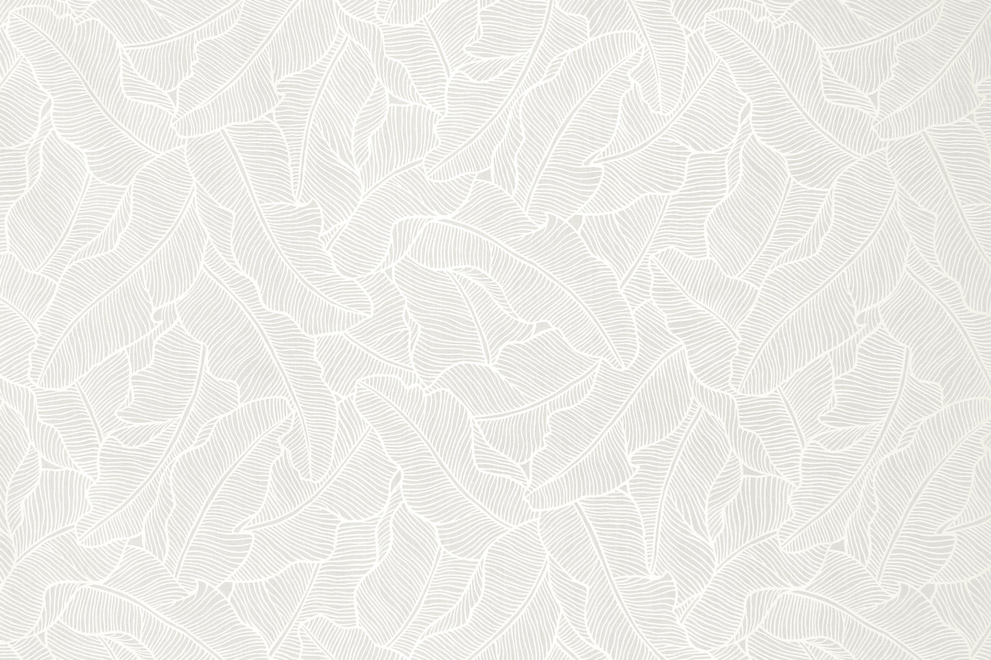 PAB1054 White/White