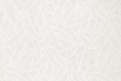 PAB1054 White/White