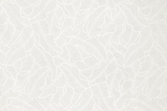 PAB1054 White/White