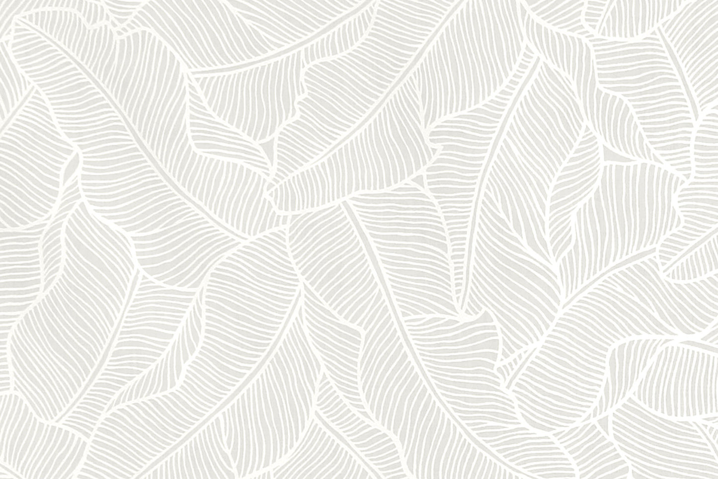 PAB1054 White/White