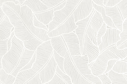 PAB1054 White/White