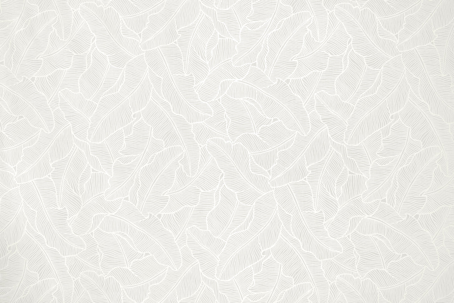 PAB1054 White/White