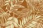 PAB1056 Brown