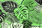 PAB1057 Green