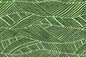 PAB1059 Green/Black