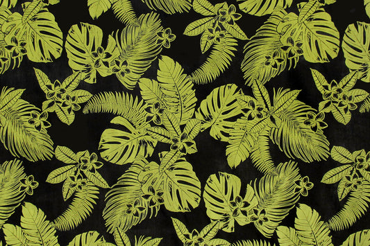 PAB1060 Black