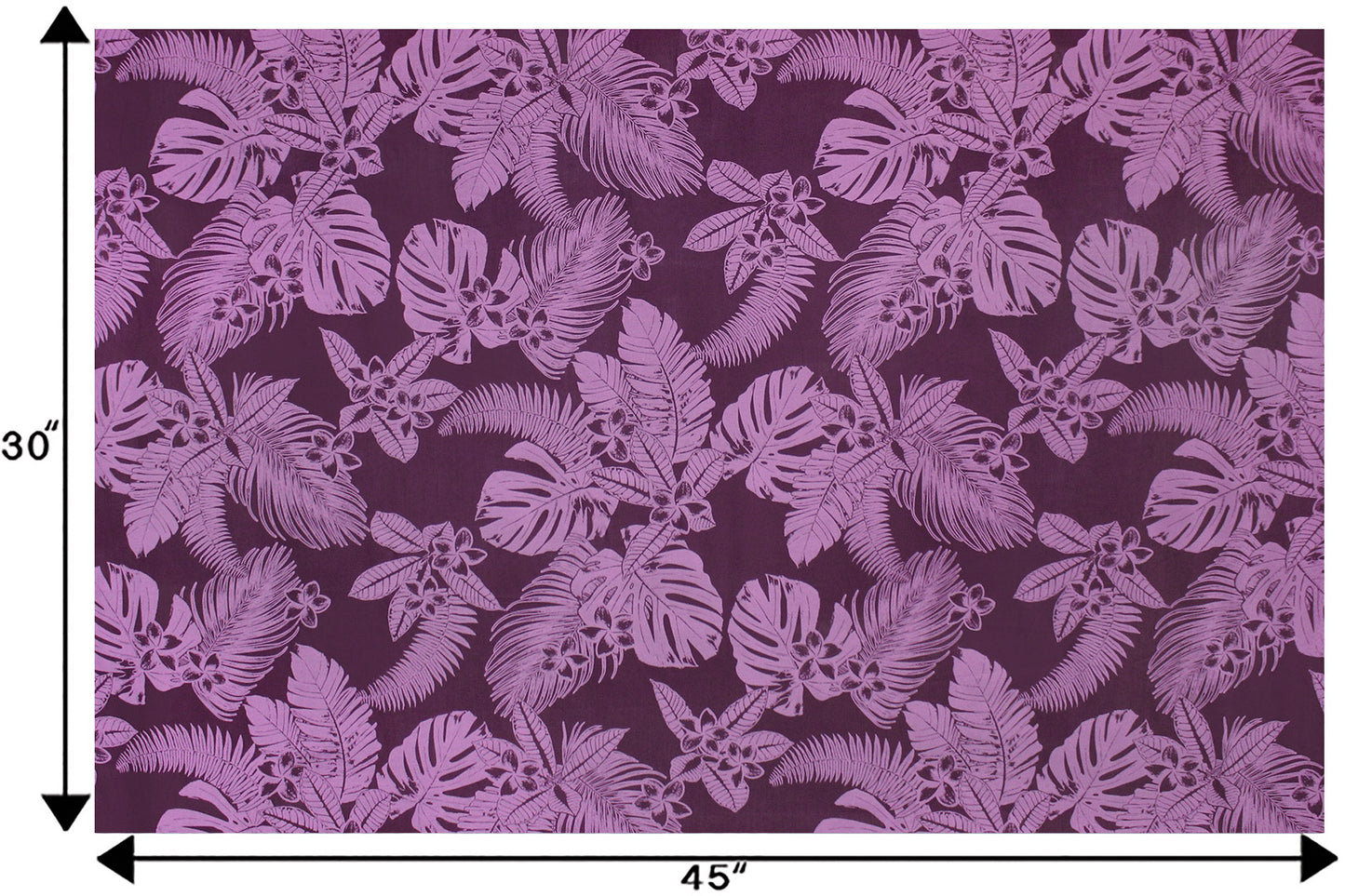 PAB1060 Eggplant