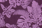 PAB1060 Eggplant