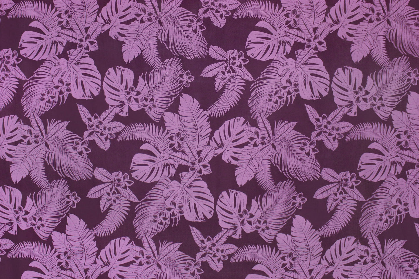 PAB1060 Eggplant