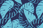 PAB1061 Navy