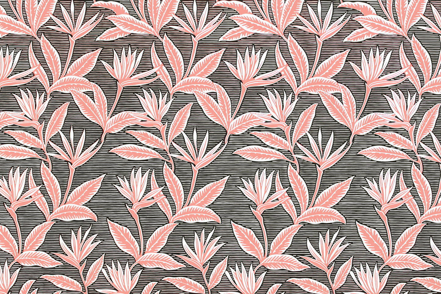 PAB1062 Black/Coral