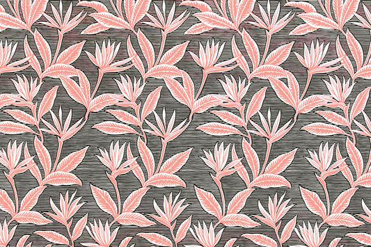 PAB1062 Black/Coral