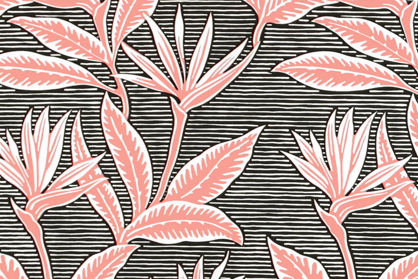 PAB1062 Black/Coral