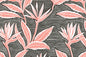 PAB1062 Black/Coral