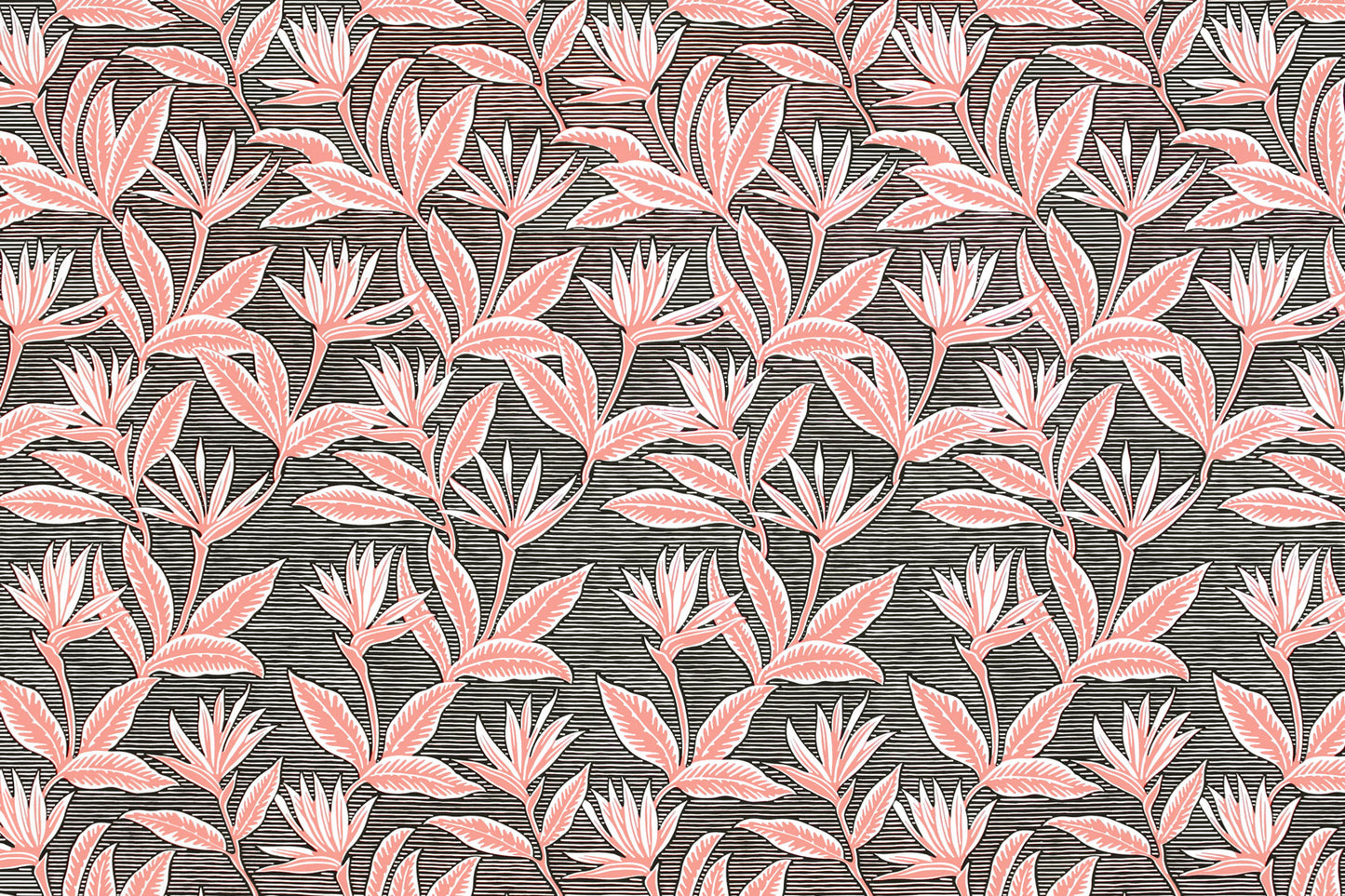 PAB1062 Black/Coral