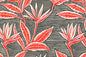 PAB1062 Black/Red