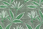PAB1062 Green