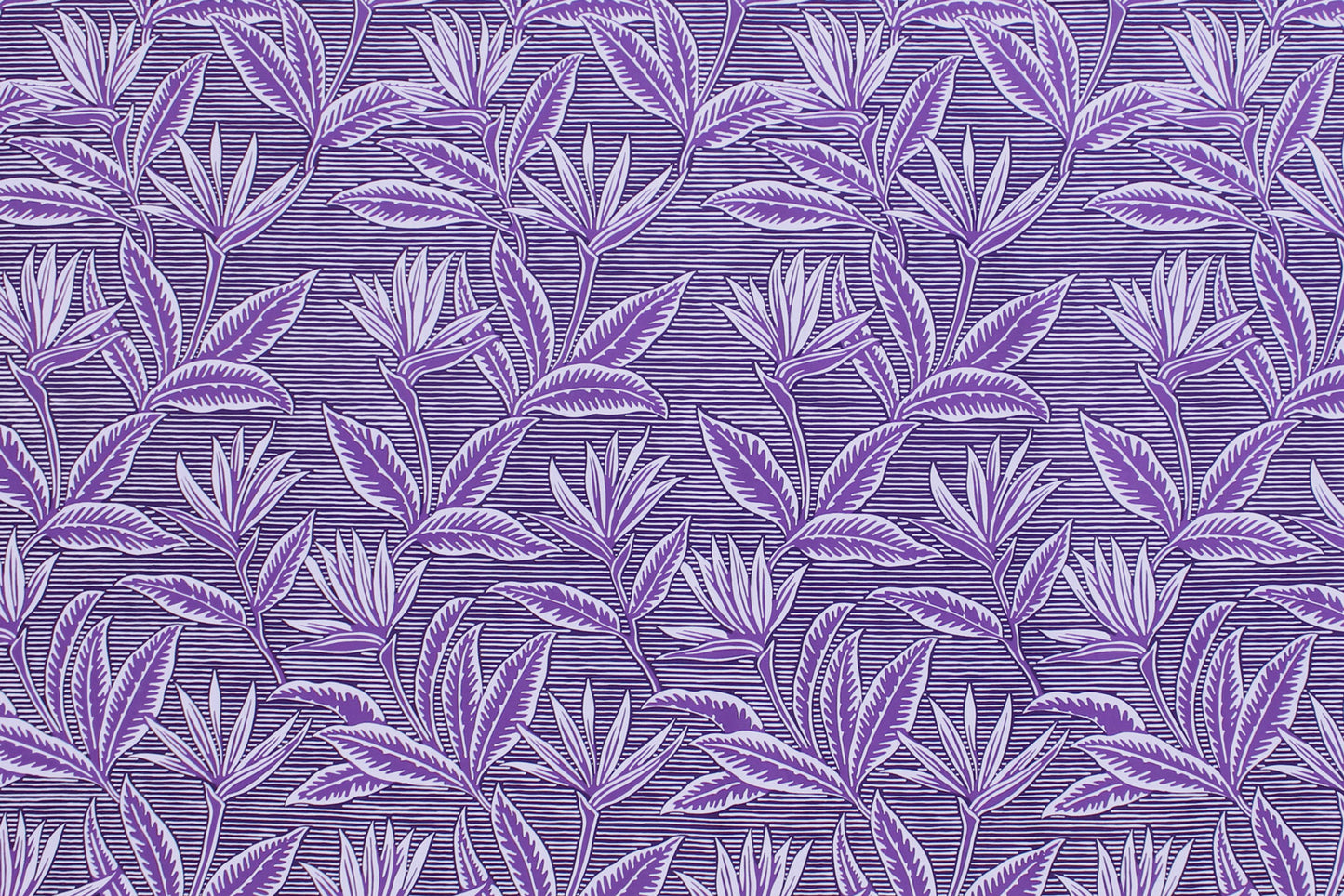 PAB1062 Purple