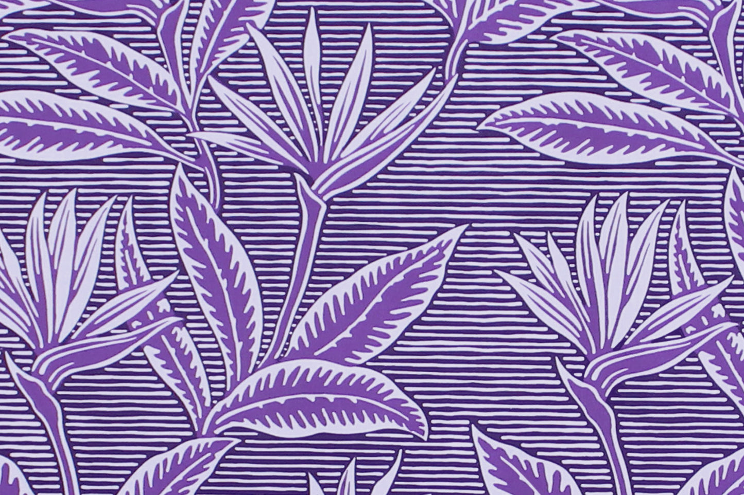 PAB1062 Purple