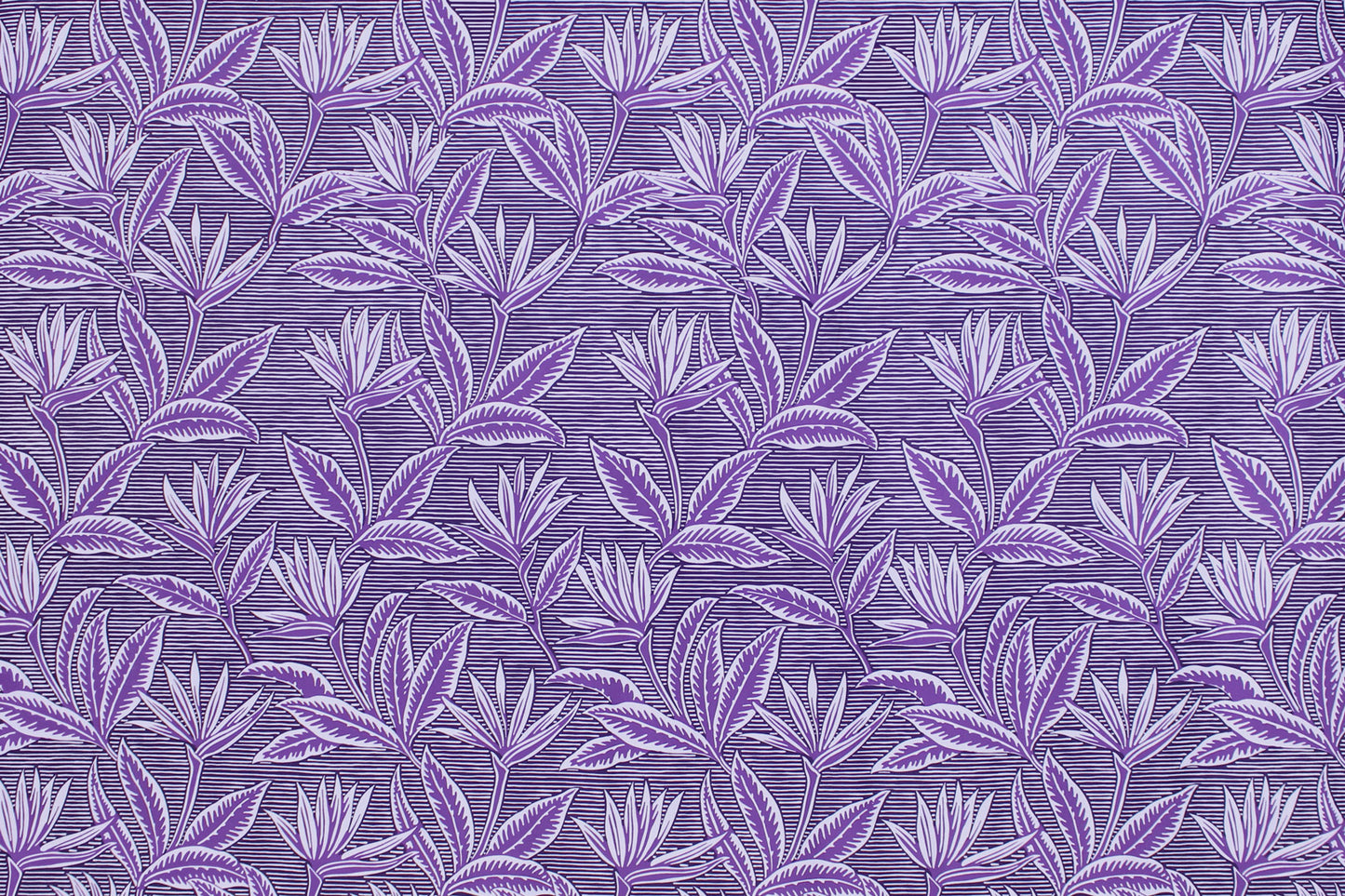 PAB1062 Purple