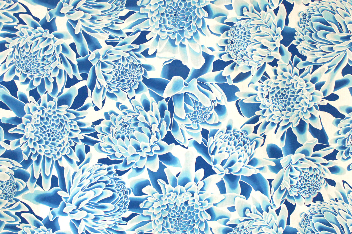 PAB1064 Blue/Off White