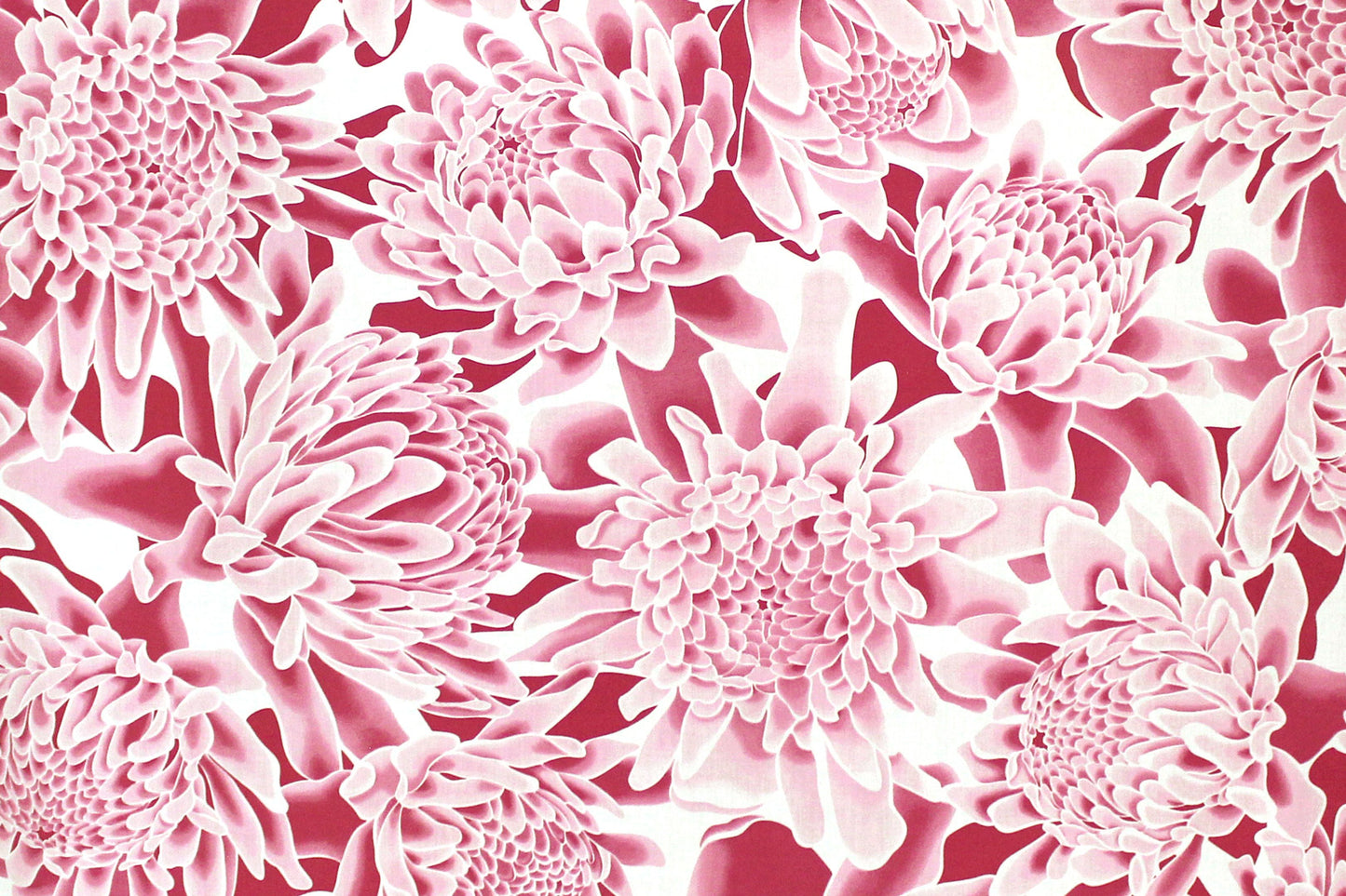 PAB1064 Pink/Off White