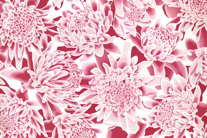 PAB1064 Pink/Off White