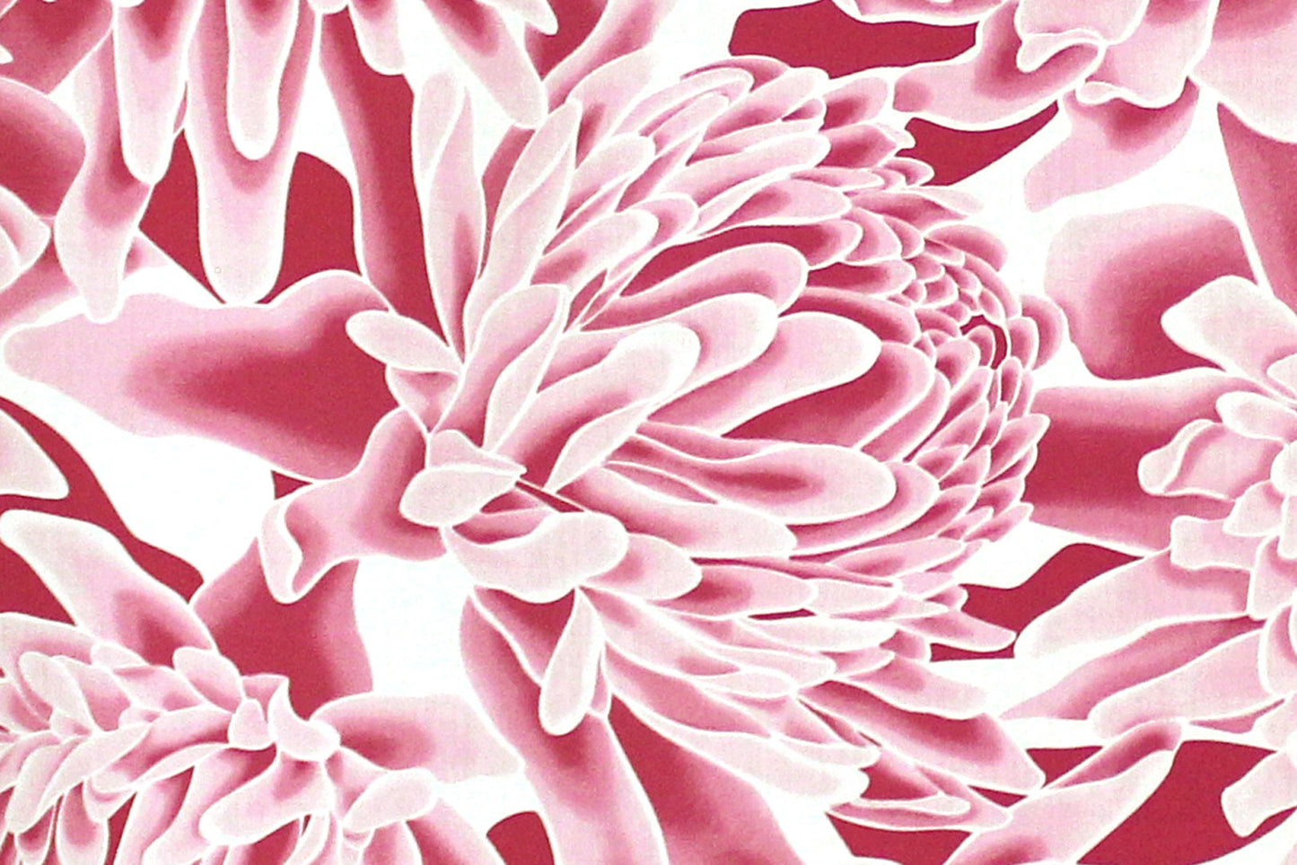 PAB1064 Pink/Off White