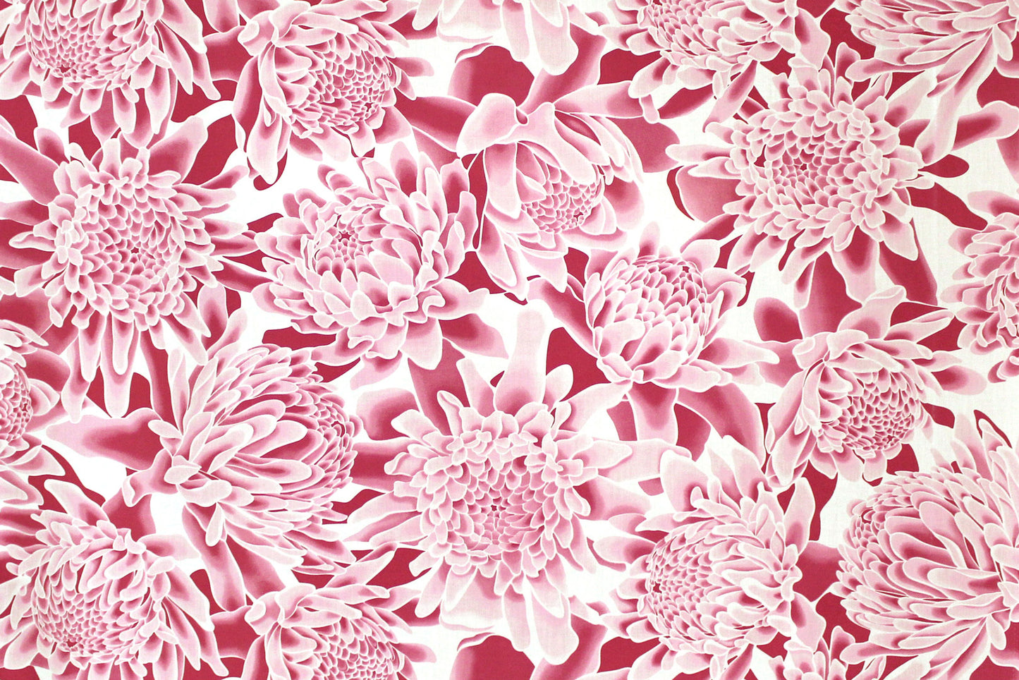 PAB1064 Pink/Off White